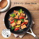 ティファール エクスペリエンス+ T-FAL eXperience+ フライパン 22cm 26cm IH ガス火対応 取っ手付き PFOA 鉛 カドミウム フ...