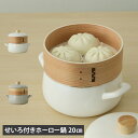 富士ホーロー せいろ付きホーロー鍋 両手鍋 せいろ蒸し 20cm IH ガス対応 SER-20W