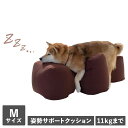【最大1000円OFFクーポン配布中】 【訳あり】 【BOX破損】 OneAid リラクッション M ワンエイド リラ クッション 犬 介護 ベッド ペット用 ...