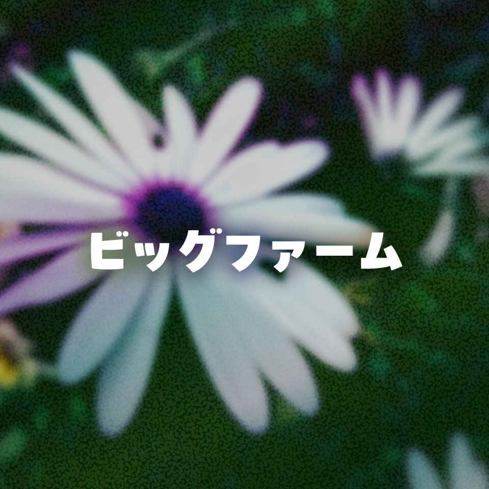 Shop icon