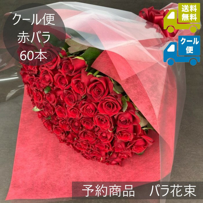 【クール便でお届け】〓赤いバラ60本の花束〓【10日後以降で着日指定可能】【送料込み】（カジュアルクラス40cm以上、産地おまかせ、加工代・化粧箱代込み）敬老の日 還暦祝い ダイヤモンド婚式 自宅用 お祝い 結婚記念日 出産祝い 誕生日 開店祝