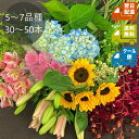 〓生花の福袋(加工なし)￥3980〓5～7品種30～50本【送料込み】【クール便選択可】【あす楽対応商品】☆14時までの注文は即日発送☆敬老の日 自宅用 結婚記念日 誕生日 開店祝 お見舞い お悔み お墓参り 仏壇用