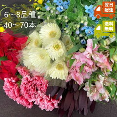 https://thumbnail.image.rakuten.co.jp/@0_mall/bigflower/cabinet/fukubukuro/4980-2set.jpg
