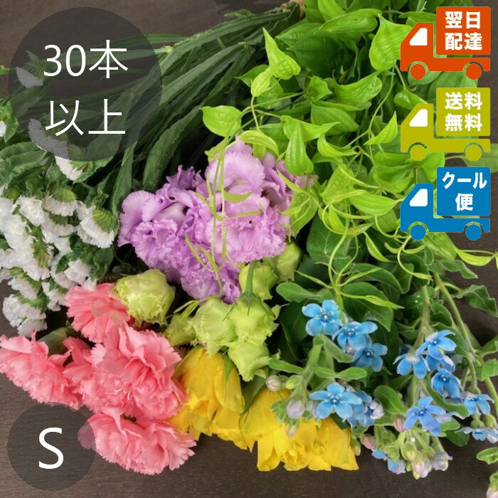 Rakuten - お花の福袋 Sサイズ（30本以上使用・加工なし）｜送料無料｜季節の生花おまかせセット 切り花 花束 アレンジ用 ご自宅用 来客用 お供え お悔み