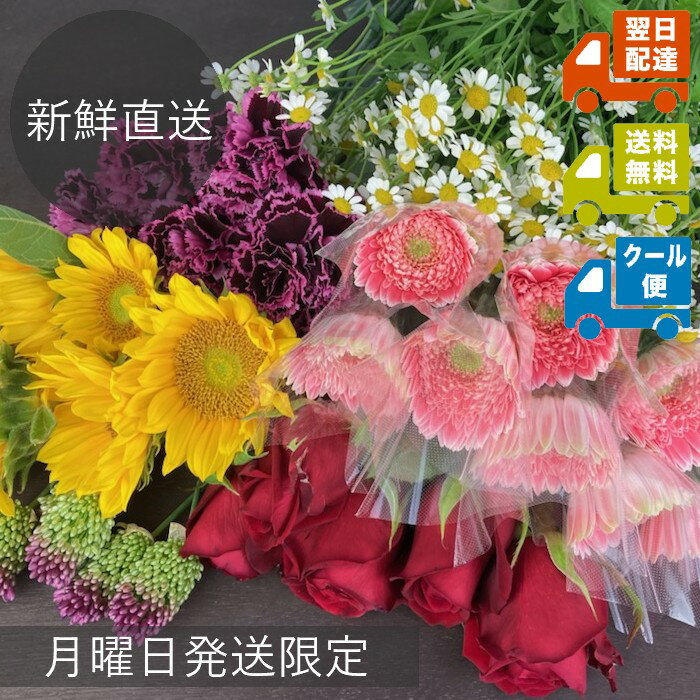 【最新鮮生花セット】市場から届いた商品を最短ででお届けします【送料込み】【クール便選択可】〓生花の福袋(加工なし)〓☆日曜日14時までの注文で月曜日入荷の新鮮なお花を火曜日にお届け(一部地域を除く)☆のサムネイル