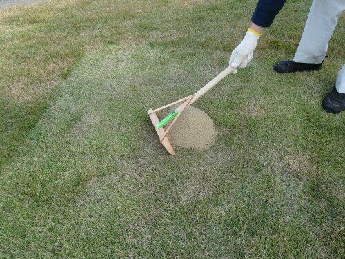 ����ܥ�(Kinboshi) ���������ڥ졼�� �����ߥ� 4037