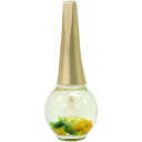Belinda(ベリンダ) Belinda Cuticle Oil 優美な気分を届けてくれるジャスミンの香り 12ミリリットル (x 1)