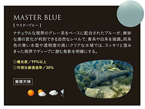 ゼクー Zeque(ゼクー) MASTER BLUE / SILVER MIRROR：ビッグゲート 偏光サングラス STELTH(ステルス) F-1925 クリアブラック ーアル