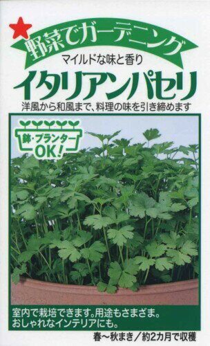 株式会社トーホク イタリアンパセリ 02043