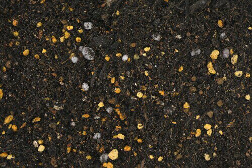 花ごころ 特選有機花ごころ培養土 海藻ミネラル、天然カルシウムが根を強化 10L