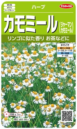 サカタのタネ 実咲ハーブ8071 カモミール(ジャーマンカモミール) ハーブ 00928071 切替月:6月 詰量:0.9ml 発芽率:65 採苗本数:3000 春秋扱い:春秋兼用種 春: 秋: 説明 「サカタのタネ」の野菜種です♪ 商品コード34043205299商品名サカタのタネ 実咲ハーブ8071 カモミール(ジャーマンカモミール) ハーブ 00928071型番00928071サイズ0.9mlカラーgreen※他モールでも併売しているため、タイミングによって在庫切れの可能性がございます。その際は、別途ご連絡させていただきます。※他モールでも併売しているため、タイミングによって在庫切れの可能性がございます。その際は、別途ご連絡させていただきます。