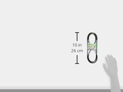 thum2