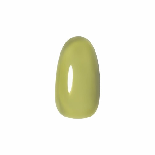 PRE GEL カラーEX グラスリーフ 3g PG-CE973 3