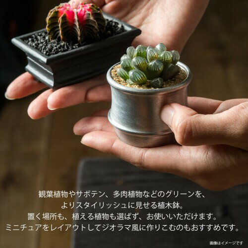 ポッシュリビング 植木鉢 ブルータポット 約[ファイ]5×H3cm ゴールド 64082