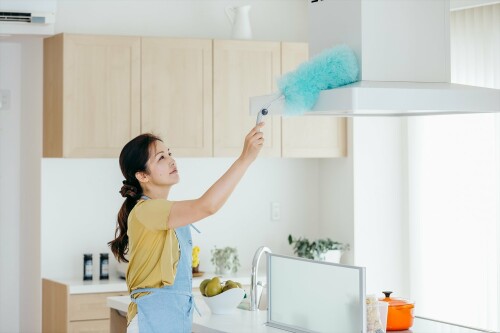 ���껺��(Yamazaki Sangyo) �ۤ���ʧ�� �ϥ�ǥ� 2989.jp+ �ࡼ��������� �󿶤� ����Ĵ�� F EX 181018