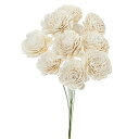 大地農園 ドライフラワー ソーラーローズ 大 シロ 約花径6.0×L25.0cm 10本入 DO032083-010
