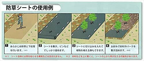 ������ ���������𥷡��� 1��10M