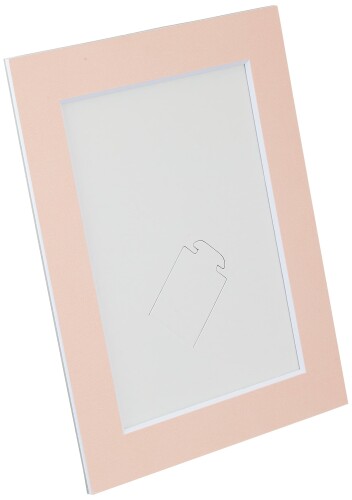 ナカバヤシ Vカットペーパースタンド 差込式 2L ピンク 23639