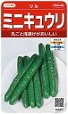 サカタのタネ 実咲野菜0402 ミニキュウリ リル 00920402
