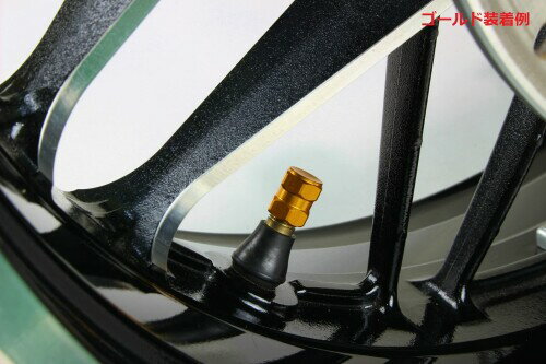 ポッシュフェイス(POSH FAITH) バイク用品 HEX2エアーバルブキャップ 2個入り ブラック 000800-06
