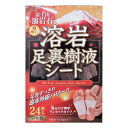 富士山溶岩石足裏樹液シート24枚入り(4)
