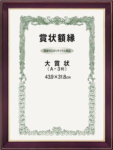 大額 賞状額 0142 ネオ光輝 A3大