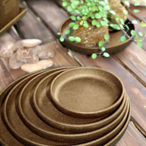 ȬȨ���� �����ץ졼�� �ݷ� 5�� �ʥ�����