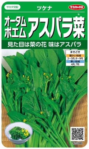 サカタのタネ 実咲野菜3300 オータムポエムアスパラ菜 ツケナ 00923300