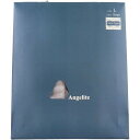 Angelite(アンジェライト) 機能性インナーショーツ レースタイプ ベージュ Lサイズ 1枚入