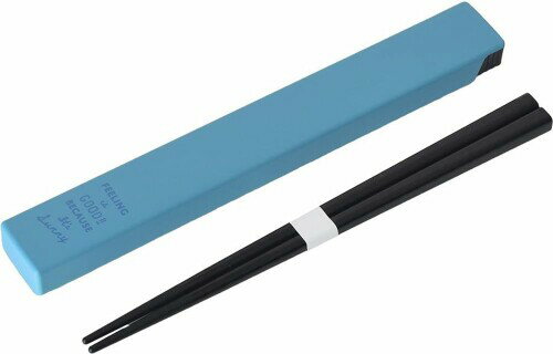 Feeling is GOOD 19.5cm箸 & ケース ブルー 035