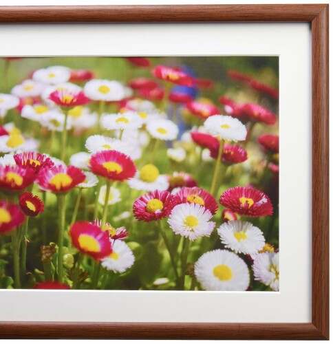 FUJICOLOR 木製額縁 M21 ワイド6切 ブラウン 407888