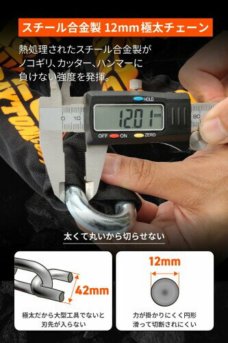 �ǥ��ȥ�(Daytona) �Х����� ����������å� [�ե���]12mm������������ �ǥ��������å��б� LED�饤���դ��� ���ȥ��󥬡�����������å� 5.0m 31249