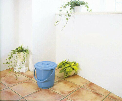 ��������(Shinki Gosei) �ȥ�� ���쥯�ȥХ��� B-8 �� ���졼 020783008