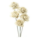 大地農園 ドライフラワー シダローズ 約L35~40cm×花径約5cm 5本入 DO030080-010