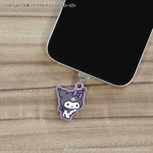 ����ޥ�ǥ����� ����ꥪ����饯������ USB Type-C �б� ���ͥ������㡼�� ������ SANG-485KU