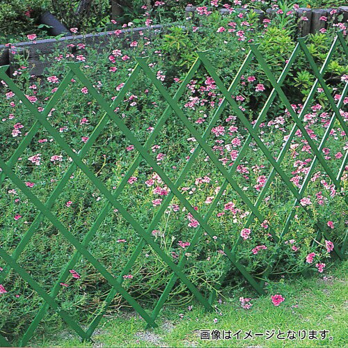 タカショー 木製伸縮トレリス200グリーン薄手
