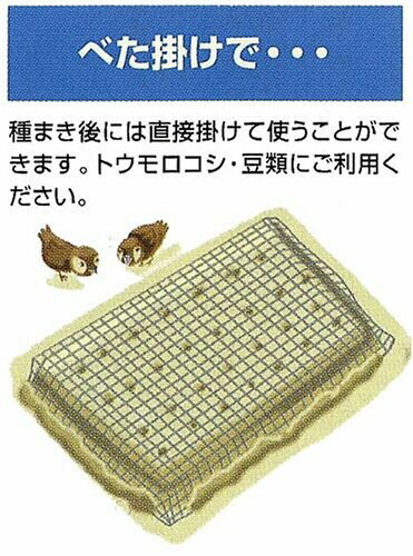 クラーク 鳥よけネット 2×6m