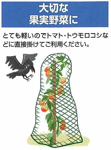 クラーク 鳥よけネット 2×6m