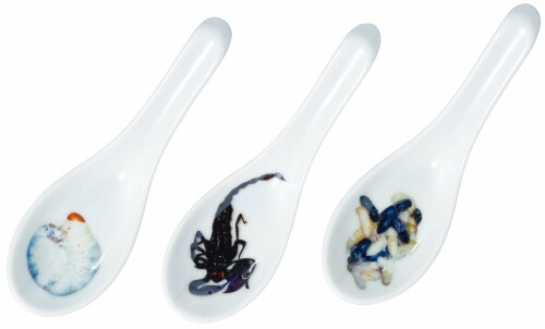 サンアート おもしろ食器 「 世界の美食 ゲテモノ 」 芋虫・サソリ・ハチノコ(3本セット) レンゲ SAN2131