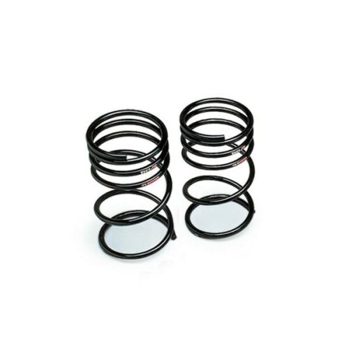 RS-R ( アールエスアール ) ダウンサス Ti2000 DOWN アルテッツァジータ JCE15W T831TWR