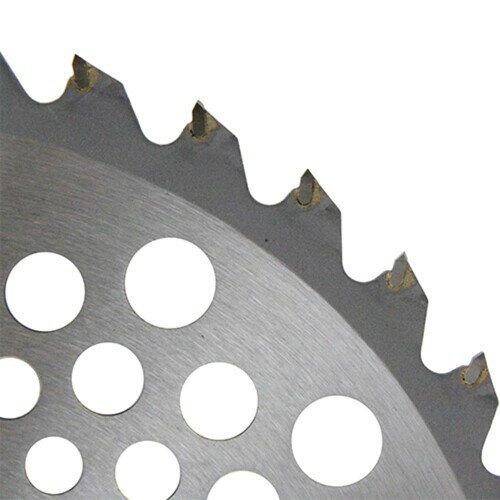 �����Х�塼(E-Value) ���̥����ץ��åץ��� 10���� ETT-255��40��10P ����С�