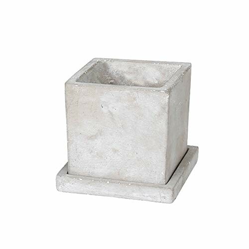 ダルトン(Dulton) 園芸用品 ソリッド プランター キューブ プレーン Lサイズ 底穴あり SOLID PLANTER CUBE PLAIN A655-758LPL