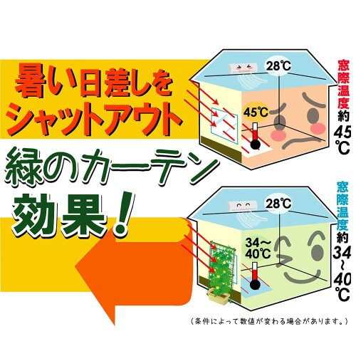 DAIM 第一ビニール サイドロープ付緑のカーテンネット 0.8mx5m
