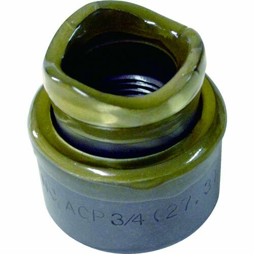 �������� �ȥॽ��ѥ���Ѹ��ݿ�ʪ TP-ACP22