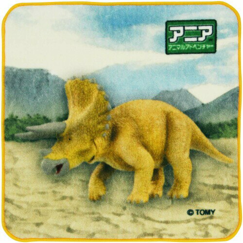 林(Hayashi) タオルハンカチ 約25×25cm アニア トリケラトプス マルチカラー PK428300