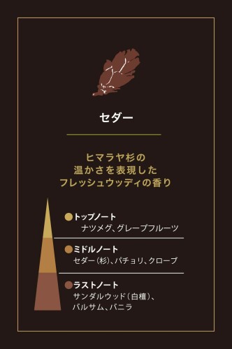 �����ƥХ� ������ �ե쥰��󥹥�ե��� 250ml �ǥ��ե塼���� ˧���