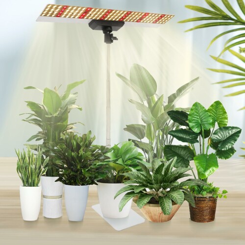 JCBritw60W植物育成ライト...