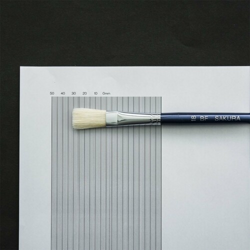 サクラクレパス 画筆 豚毛 平型 18号 BF#18