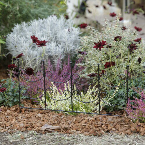 �������硼 �ե����ťե��� A ���ŤĤ���� �������