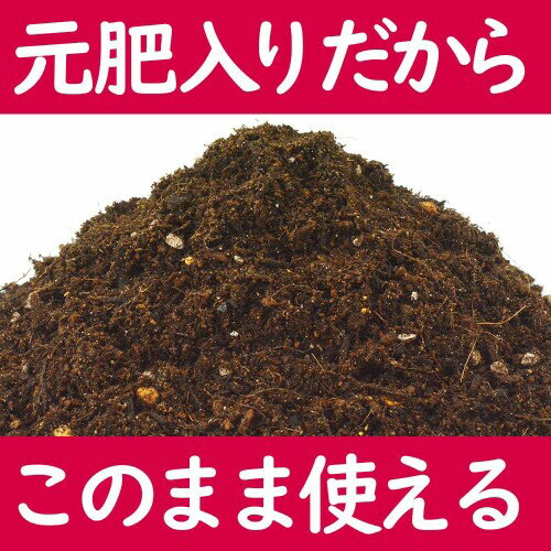 花ごころ 甘いイチゴをつくる土 フルボ酸配合 5L
